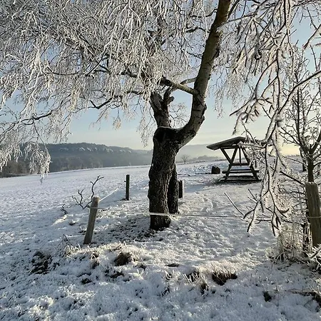 Am Hochwald Апартаменты Reinhardtsdorf-Schona