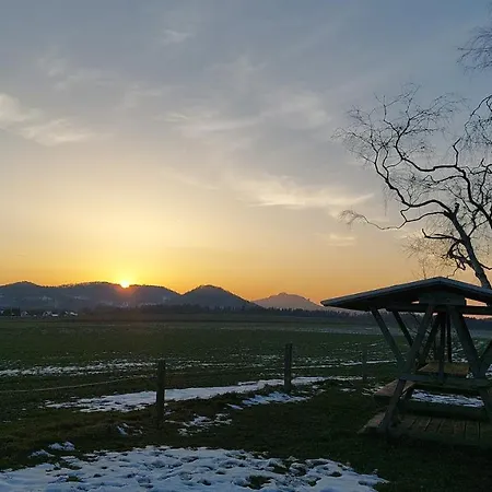 Апартаменты Am Hochwald *