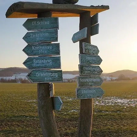 Апартаменты Am Hochwald Reinhardtsdorf-Schona