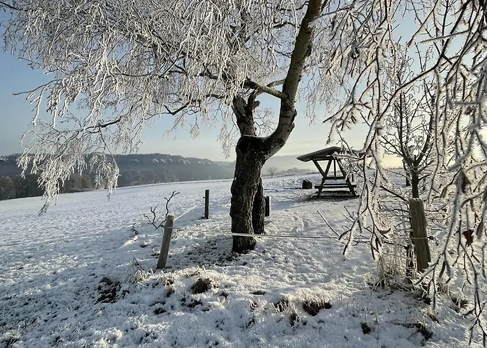 Am Hochwald Apartman Reinhardtsdorf-Schöna